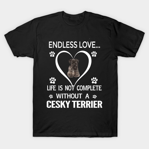 Cesky Terrier Lovers T-Shirt by bienvaem